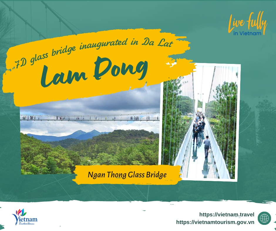 7D glass bridge inaugurated in Da Lat, Lam Dong